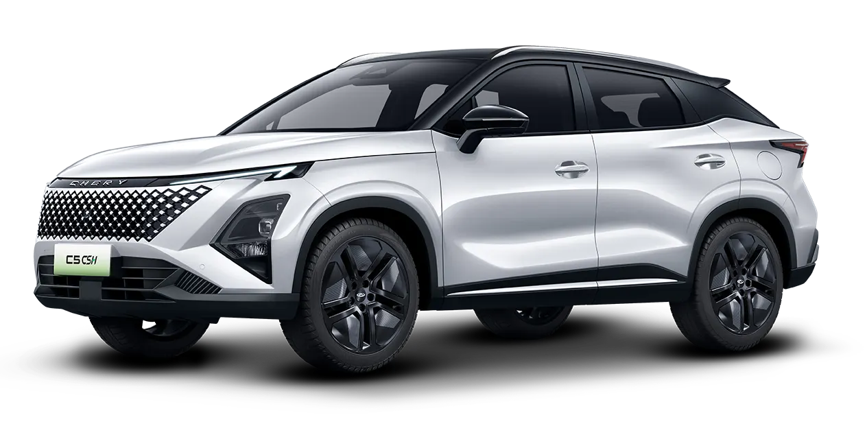 White Howlite Two Tone